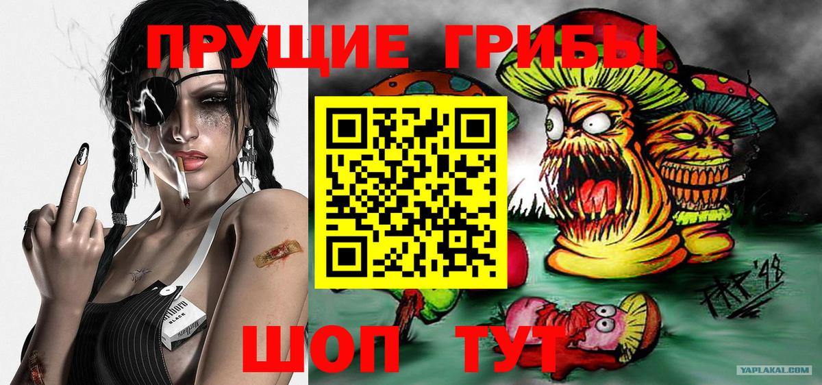 Псилоцибиновые грибы Psilocybine cubensis  Галлюциногенные грибы GOLDEN TEACHER  Богородицк  Вход с VPN 
